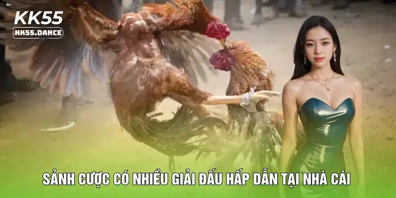 Sảnh cược có nhiều giải đấu hấp dẫn tại nhà cái